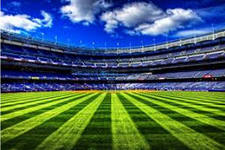 В Ленинградской области построят около 40 спортивных объектов